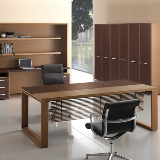 Arche Executive Desk Leather & Wood Top