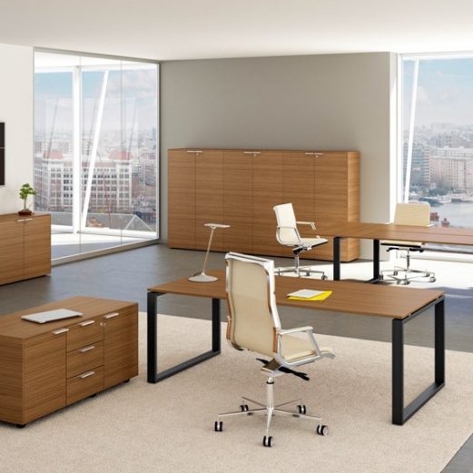 Loopy Executive Desks