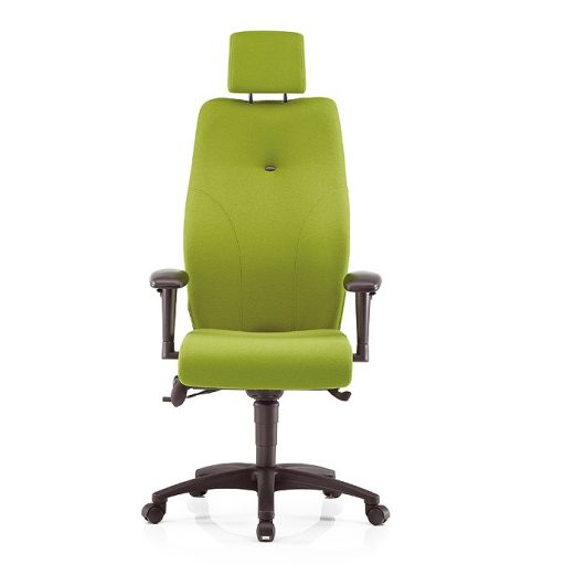 Ergonomic Office Chairs - Posture Chairs