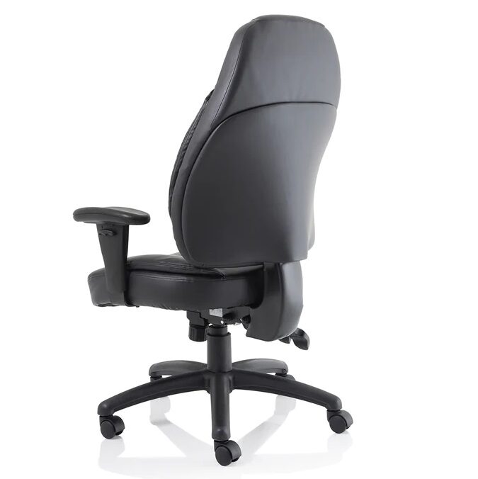 Galaxy Executive Task Chair back