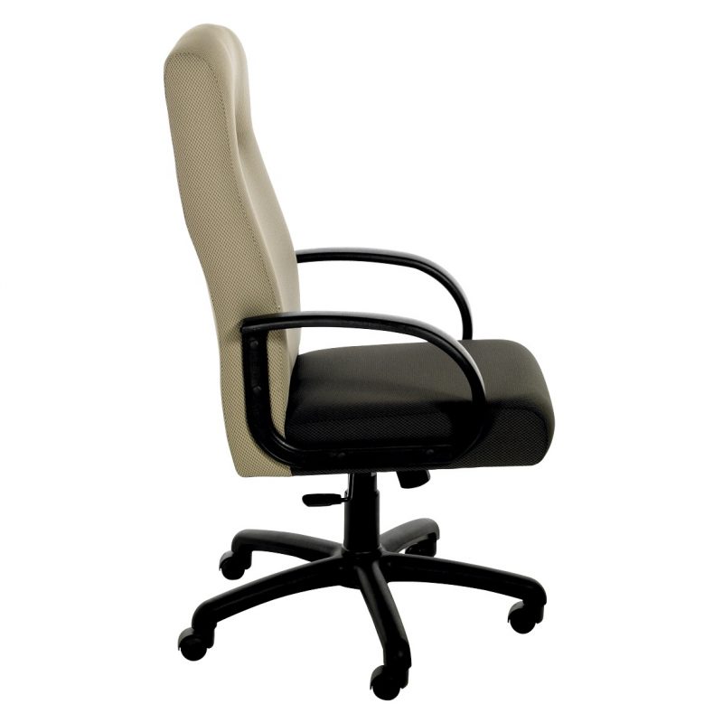 Medium Back Executive Chair 1