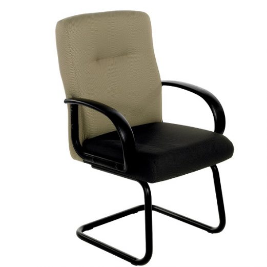 Executive 1 Visitor Chair With Arms