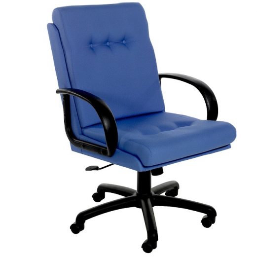 Executive 2 Medium Back Chair