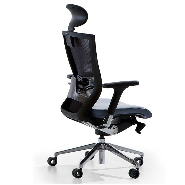 X Mesh Executive Office Chair with Headrest