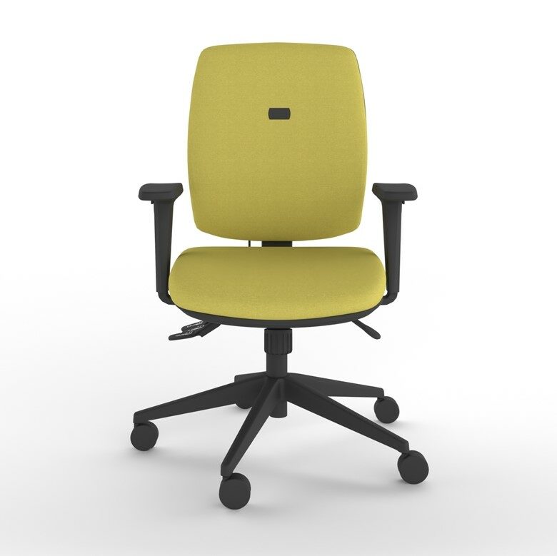 INTRO Ergonomic Task Chair Petite Model