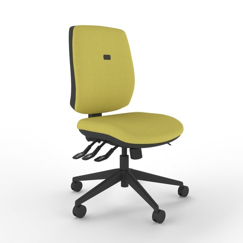 INTRO Ergonomic Task Chair Petite Model