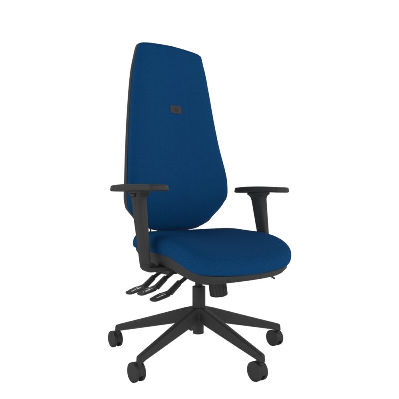 INTRO IT300 Task Chairs