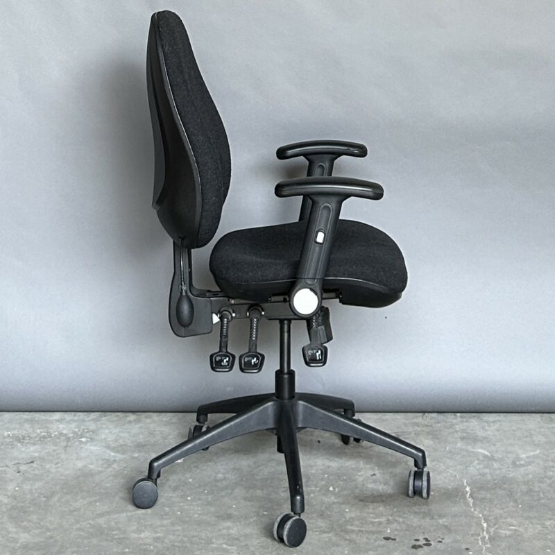 Fully Adjustable Task Chair Charcoal 2306